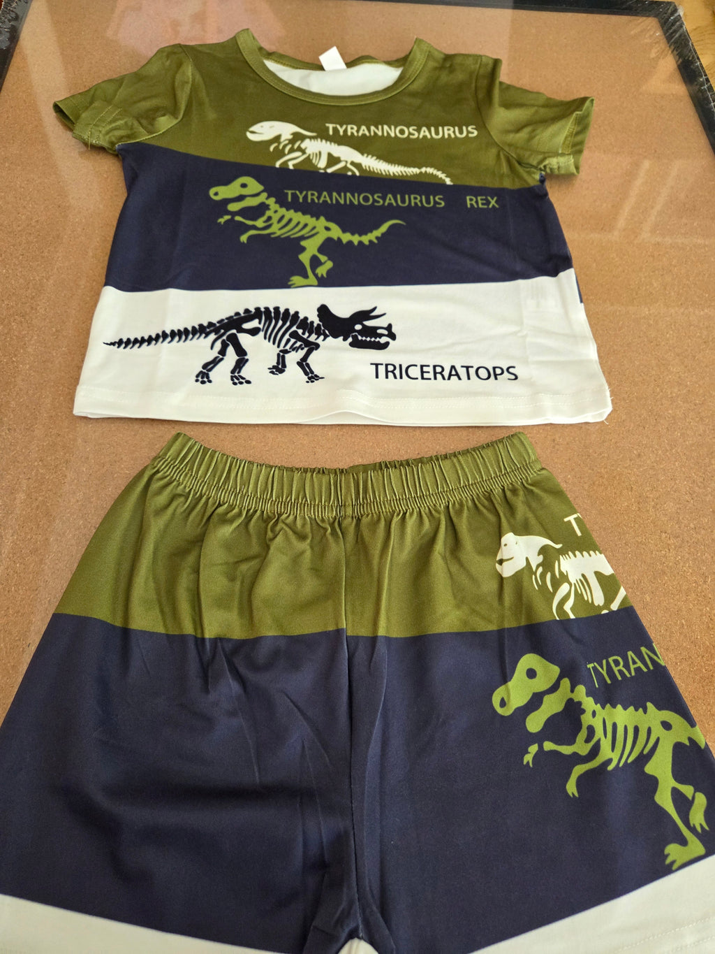 Toddler boys dinosaur t-shirt & short set