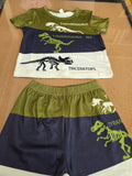 Toddler boys dinosaur t-shirt & short set