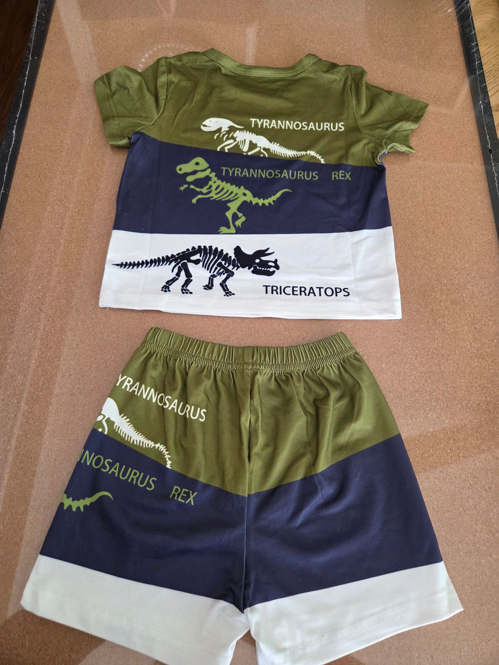 Toddler boys dinosaur t-shirt & short set